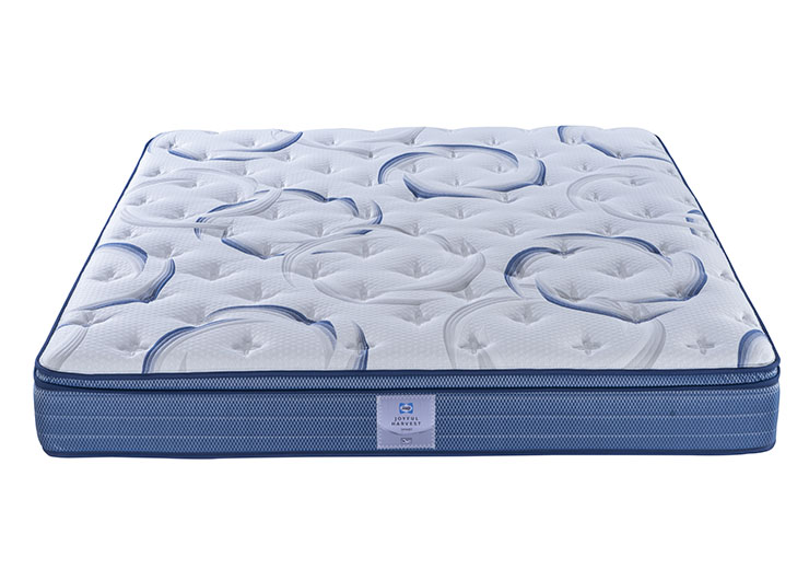 22_0002_DSC6232 拷贝