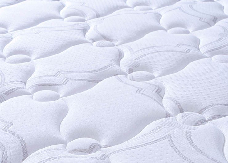 1_0000_DSC6258 拷贝