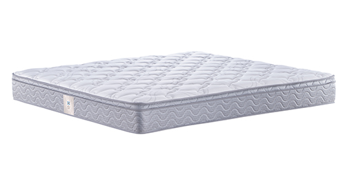 心启(心湾套组)