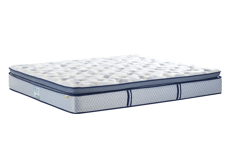 未标题-1_0004_DSC0185 拷贝 2