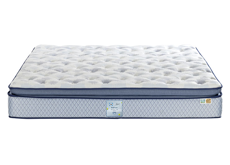 未标题-1_0003_DSC0189 拷贝 2