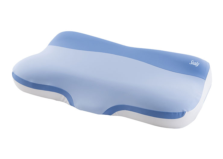 1_0001_ESC_0546 拷贝 2