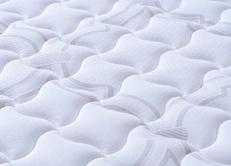 未标题-255_0001_ESC_0794