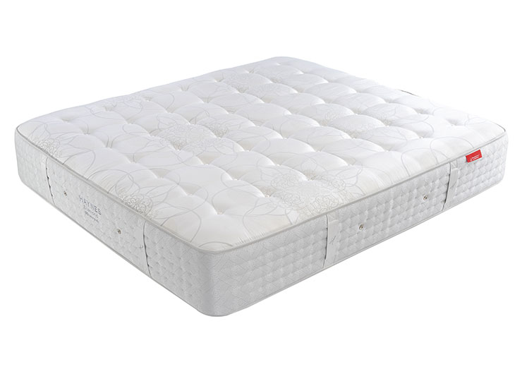 未标题-1_0003_ESC_0002 拷贝